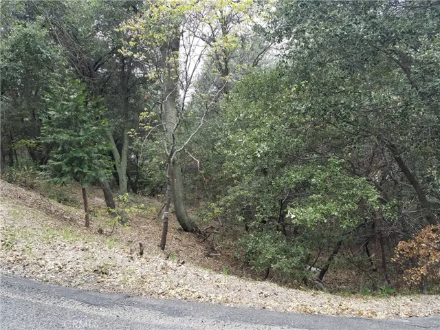 0 Short Way, Crestline, California 92325