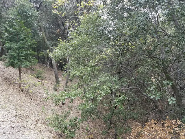 0 Short Way, Crestline, California 92325