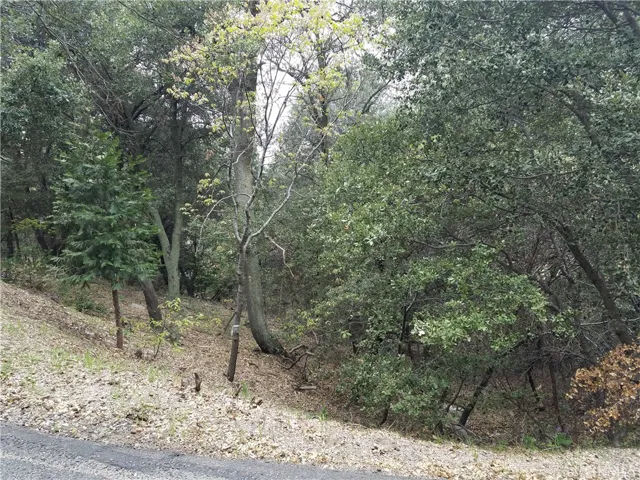 0 Short Way, Crestline, California 92325