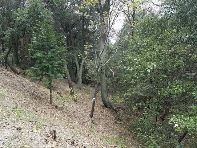 0 Short Way, Crestline, California 92325