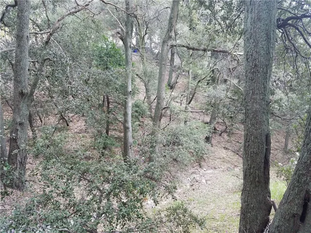 0 Short Way, Crestline, California 92325