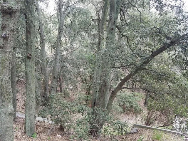 0 Short Way, Crestline, California 92325