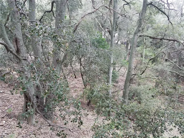 0 Short Way, Crestline, California 92325