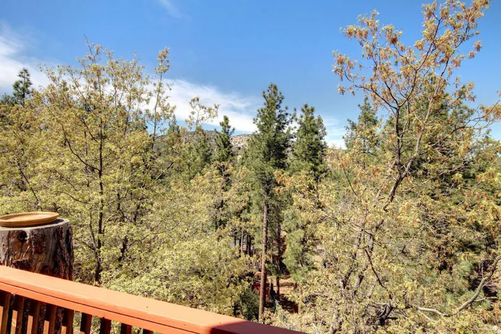 north-view_49898669721_o