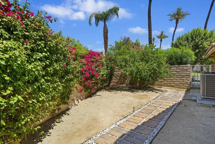 Side Yard