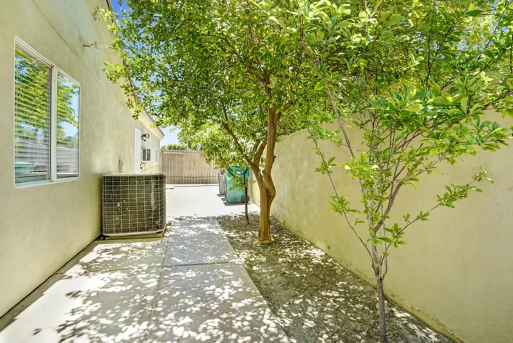 Side yard