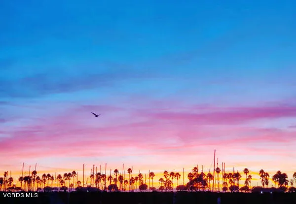 Sunset-cell-phone-by-Brad
