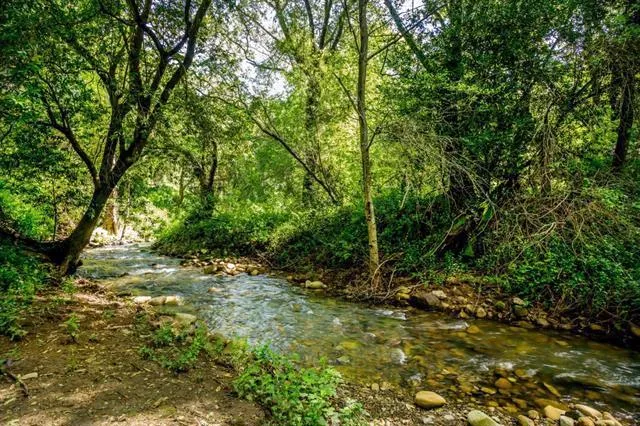 6545 Redwood Retreat Road, Gilroy, California 95020
