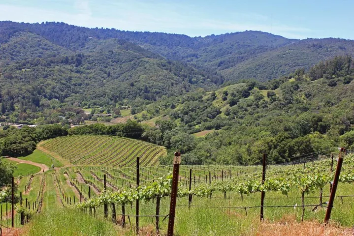 6545 Redwood Retreat Road, Gilroy, California 95020