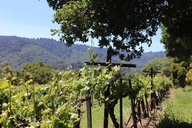 6545 Redwood Retreat Road, Gilroy, California 95020