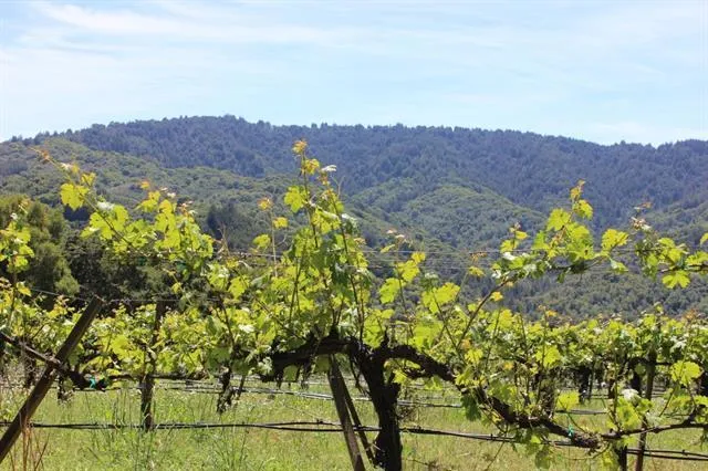 6545 Redwood Retreat Road, Gilroy, California 95020
