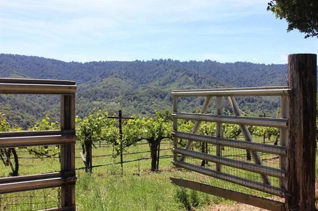 6545 Redwood Retreat Road, Gilroy, California 95020