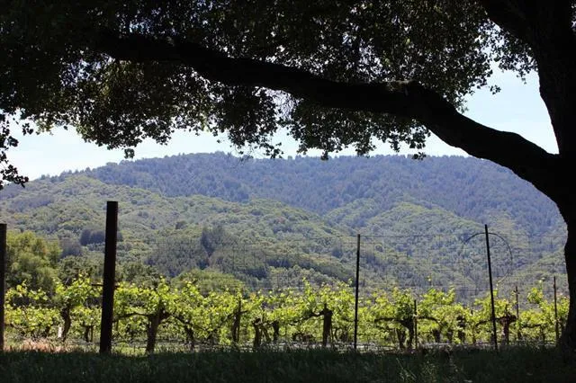 6545 Redwood Retreat Road, Gilroy, California 95020
