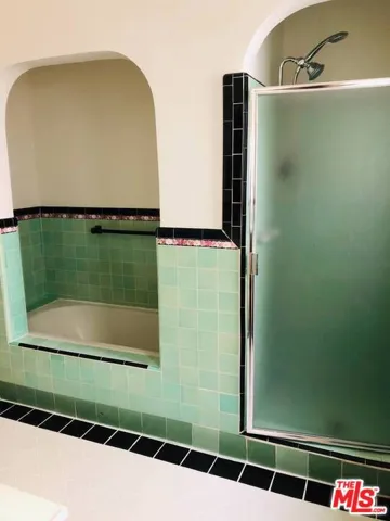 Master Ba and Shower