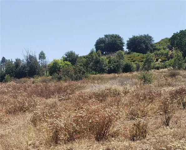 Mid-Section of the lot shot from access road.