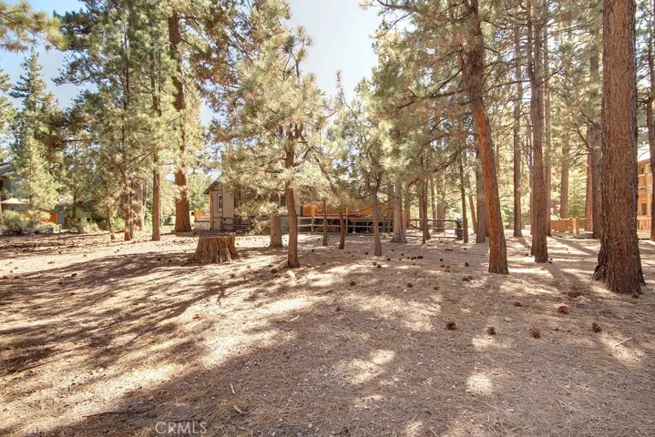 114 Meadow View Drive, Big Bear, California 92315