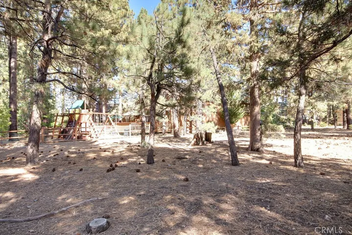 114 Meadow View Drive, Big Bear, California 92315