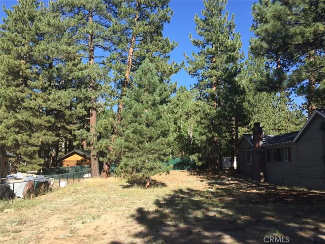 0 Wren, Big Bear, California None