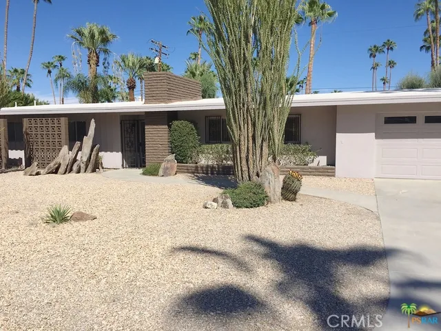 Mature desert landscape with unobstructe