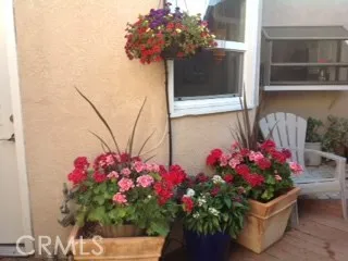 The back patio is a private area for your garden or just to read a book.