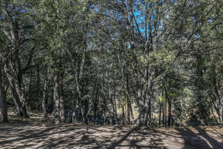 27777 Saunders Meadow-print-004-014-04-4
