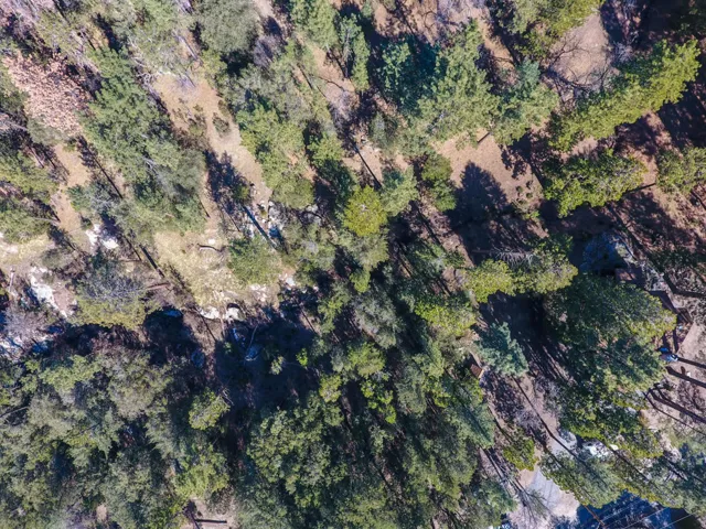 27777 Saunders Meadow-print-053-002-53-4