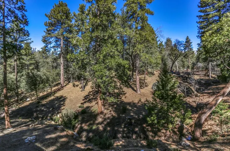 27777 Saunders Meadow-print-045-054-45-4
