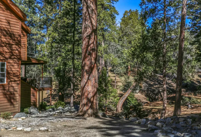 27777 Saunders Meadow-print-042-025-42-4