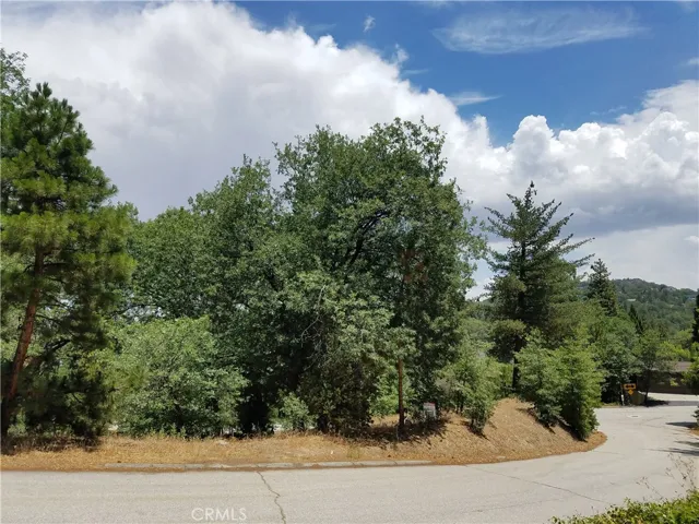 28310 Bern Lane, Lake Arrowhead, California 92352