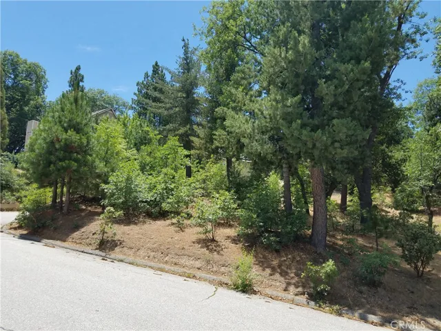 28310 Bern Lane, Lake Arrowhead, California 92352