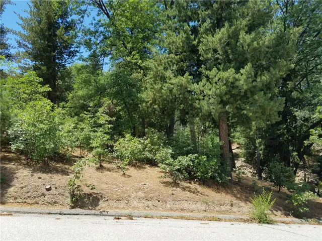 28310 Bern Lane, Lake Arrowhead, California 92352
