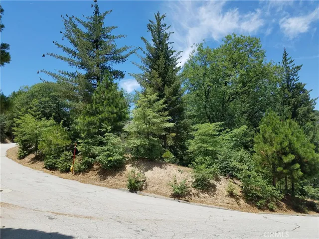 28310 Bern Lane, Lake Arrowhead, California 92352