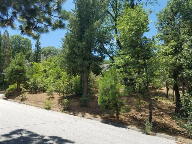 28310 Bern Lane, Lake Arrowhead, California 92352