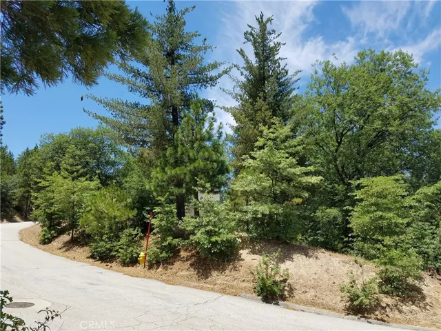 28310 Bern Lane, Lake Arrowhead, California 92352