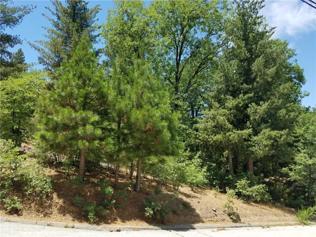 28310 Bern Lane, Lake Arrowhead, California 92352