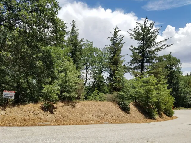 28310 Bern Lane, Lake Arrowhead, California 92352