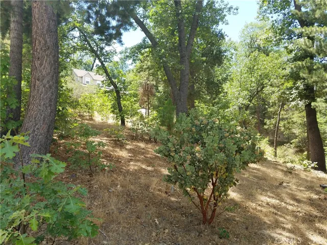 28310 Bern Lane, Lake Arrowhead, California 92352