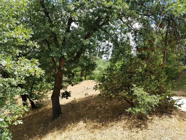 28310 Bern Lane, Lake Arrowhead, California 92352