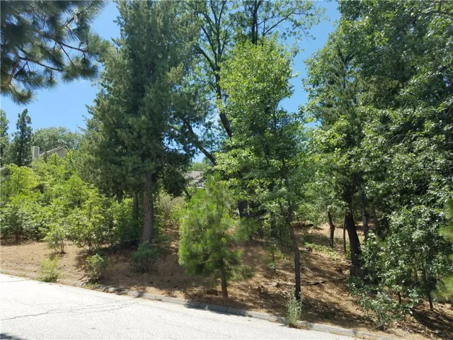 28310 Bern Lane, Lake Arrowhead, California 92352