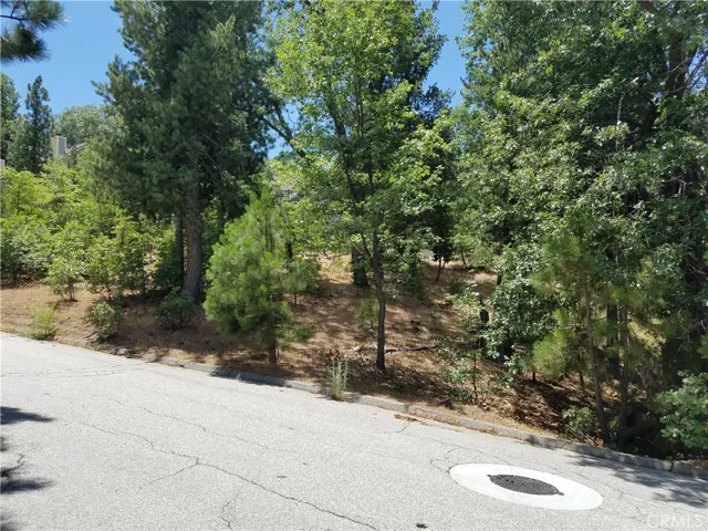 28310 Bern Lane, Lake Arrowhead, California 92352