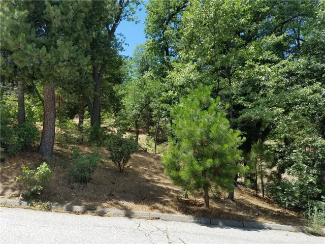 28310 Bern Lane, Lake Arrowhead, California 92352