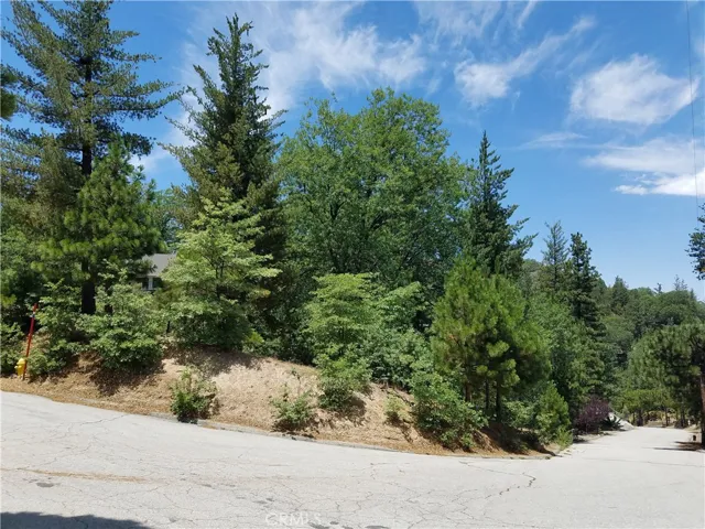 28310 Bern Lane, Lake Arrowhead, California 92352