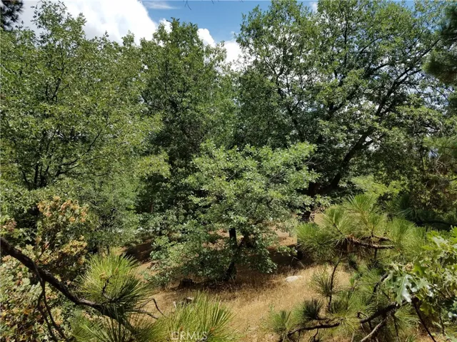 28310 Bern Lane, Lake Arrowhead, California 92352
