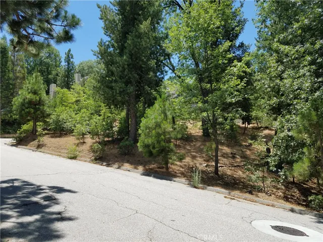 28310 Bern Lane, Lake Arrowhead, California 92352