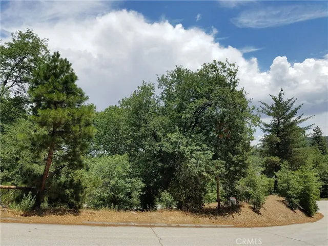28310 Bern Lane, Lake Arrowhead, California 92352