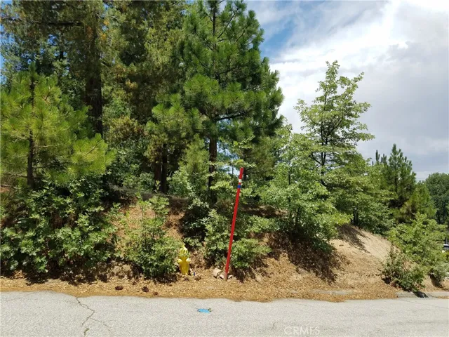 28310 Bern Lane, Lake Arrowhead, California 92352