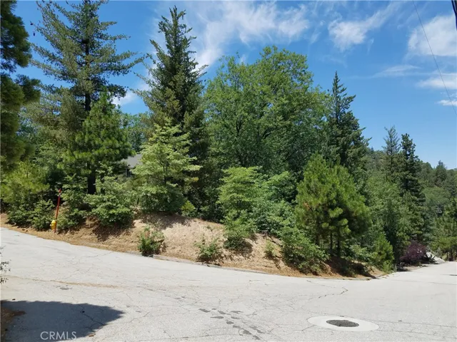 28310 Bern Lane, Lake Arrowhead, California 92352