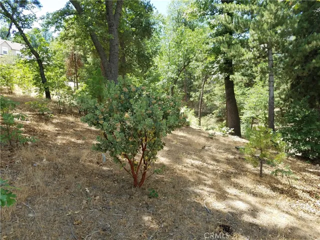 28310 Bern Lane, Lake Arrowhead, California 92352