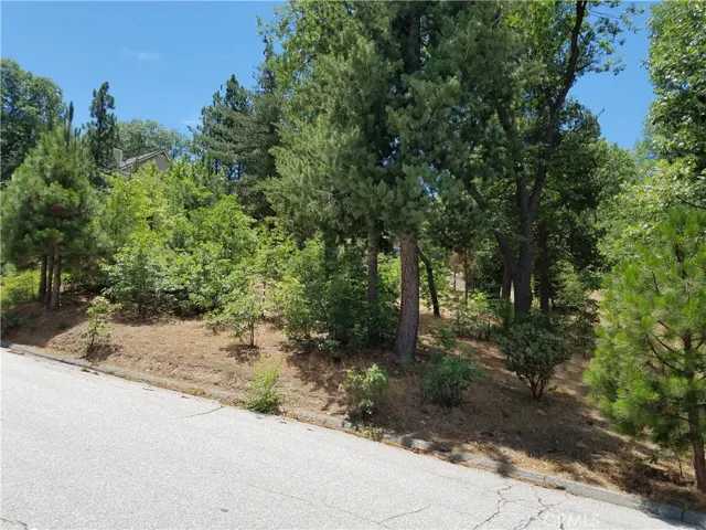 28310 Bern Lane, Lake Arrowhead, California 92352