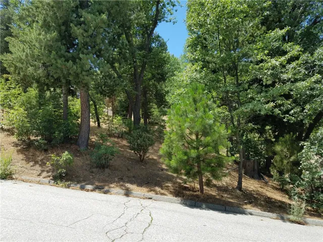 28310 Bern Lane, Lake Arrowhead, California 92352